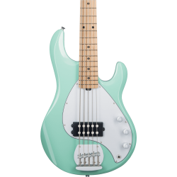 GSU_RAY5-MG-M1-GSU-RAY5-MG-M1-2-B