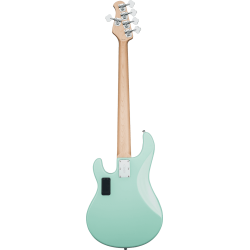 GSU_RAY5-MG-M1-GSU-RAY5-MG-M1-5-B