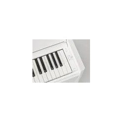 PIANO NUMERIQUE YAMAHA YDP-S55WH