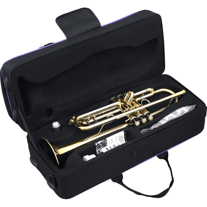 VSM_TP500-VSM-TP500-2-B