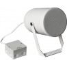 PROJECTEUR SON PUBLIC ADRESS, 100 V, 20 W, IP66