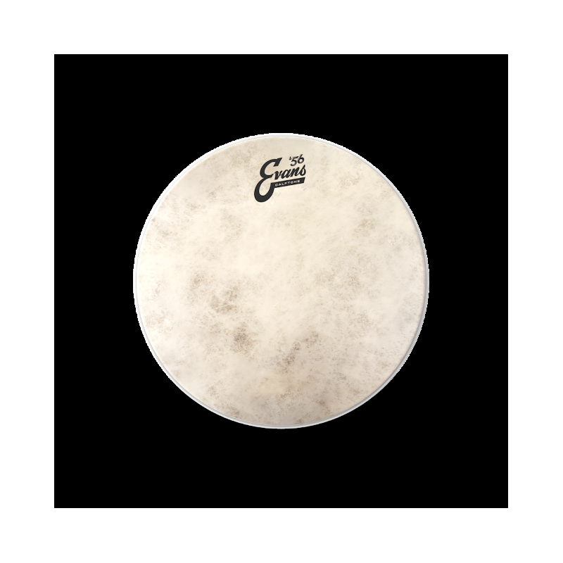 TT12C7-cover_large (4)