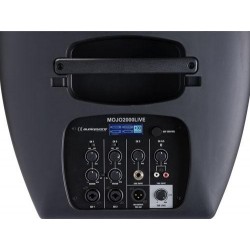 H11238-mojo2000_live