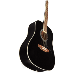 Guitare EKO RANGER6-BLK