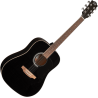 Guitare EKO RANGER6-BLK