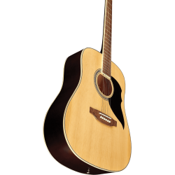 Guitare EKO RANGER6-NAT