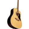 Guitare EKO RANGER6-NAT