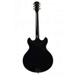 LC057-larry-carlton-h7v-bk-en (1)