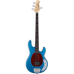 GSB_RAY24CA-TLB-R1-cover_GSB-RAY24CA-TLB-R1-B