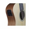 TG041-tanglewood-winterleaf-tw2tse-cn-housse (2)