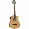 TG041-tanglewood-winterleaf-tw2tse-cn-housse