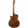 TG033-tanglewood-evolution-tvcxpw-cn (1)
