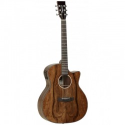 TG033-tanglewood-evolution-tvcxpw-cn