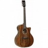 TG033-tanglewood-evolution-tvcxpw-cn