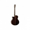 TG285-tanglewood-winterleaf-tw4avb-cn (1)