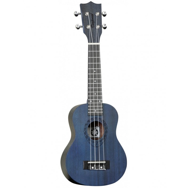 TG131-cover_tanglewood-tiare-twt1tb-cn
