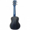 TG131-tanglewood-tiare-twt1tb-cn