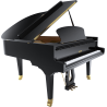 Piano À Queue Pleyel P170-BLK | Ubico Musique