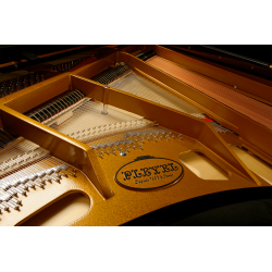 Piano À Queue Pleyel P170-BLK | Ubico Musique