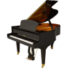 Piano À Queue Pleyel P170-BLK | Ubico Musique