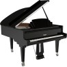 Piano À Queue Pleyel P170T-BLK Trocadero | Ubico Musique