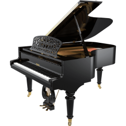 KPL_OP190-BLK-KPL-OP190-BLK-B