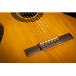 Guitare TAKAMINE GC3NAT