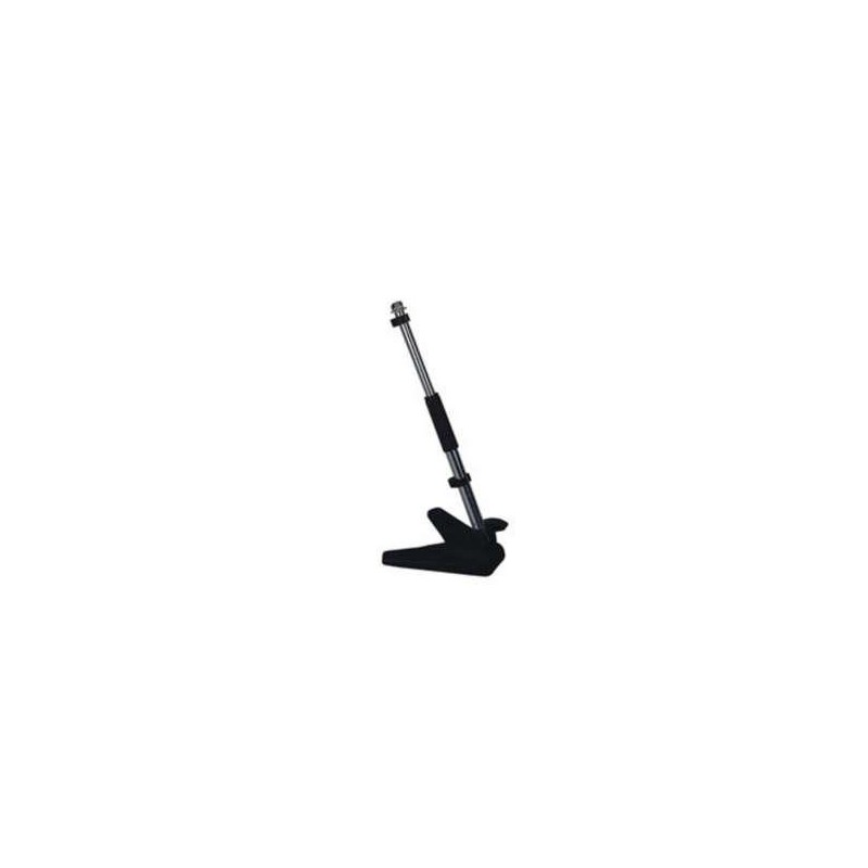 1000_MS_069-pied-micro