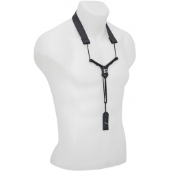 ABG_CFYLP-ABG-CFYLP-1-B