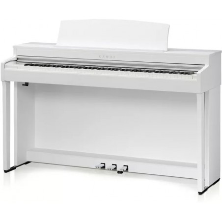 KAWAI CN301W