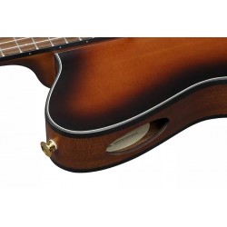 Guitare IBANEZ FRH10N BSF