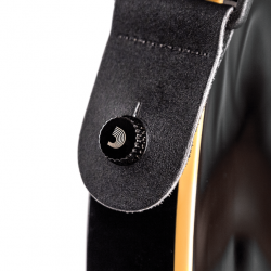 Système de fixation de sangle universel PW-SLS-02