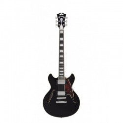DAN015-cover_d-angelico-premier-mini-dc-black-flake