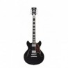 DAN015-cover_d-angelico-premier-mini-dc-black-flake
