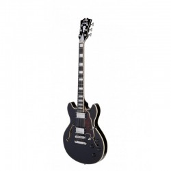 DAN015-d-angelico-premier-mini-dc-black-flake (1)