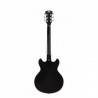 DAN015-d-angelico-premier-mini-dc-black-flake