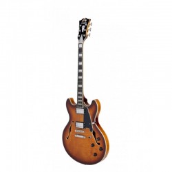 DAN012-d-angelico-premier-dc-dark-iced-tea-burst (1)
