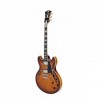 DAN012-d-angelico-premier-dc-dark-iced-tea-burst (1)