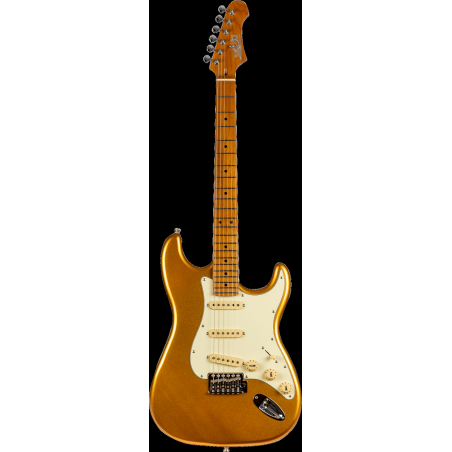 JS300GD-cover_1