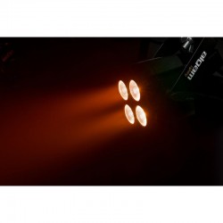 LAL_MINIPAR46-QUAD-LAL-MINIPAR46-QUAD-4-B
