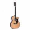 Guitare SIGMA SERIE 1 000MC-1E