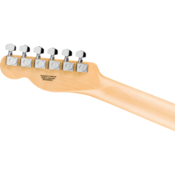 Guitare Fender Standard TelecasterÆ, Maple Fingerboard, Black Pickguard, Butterscotch Blonde