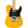 Guitare Fender Standard TelecasterÆ, Maple Fingerboard, Black Pickguard, Butterscotch Blonde