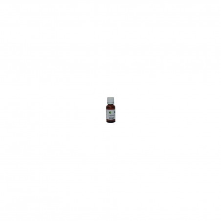 5000-FRAG-POM-20ML-fragrance-pomme-20ml