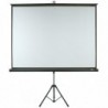 DMT Tripod Screen …cran de projection rÈtractable et portable - 84 - 4:3