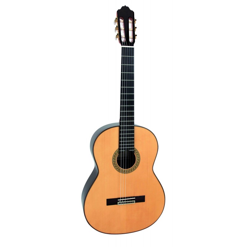 GUITARE ESTEVE 7SR TABLE EPICEA ETUI