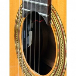 GUITARE ELECTRO CLASSIQUE ESTEVE 4STCE FISHMAN SILLET 48MM