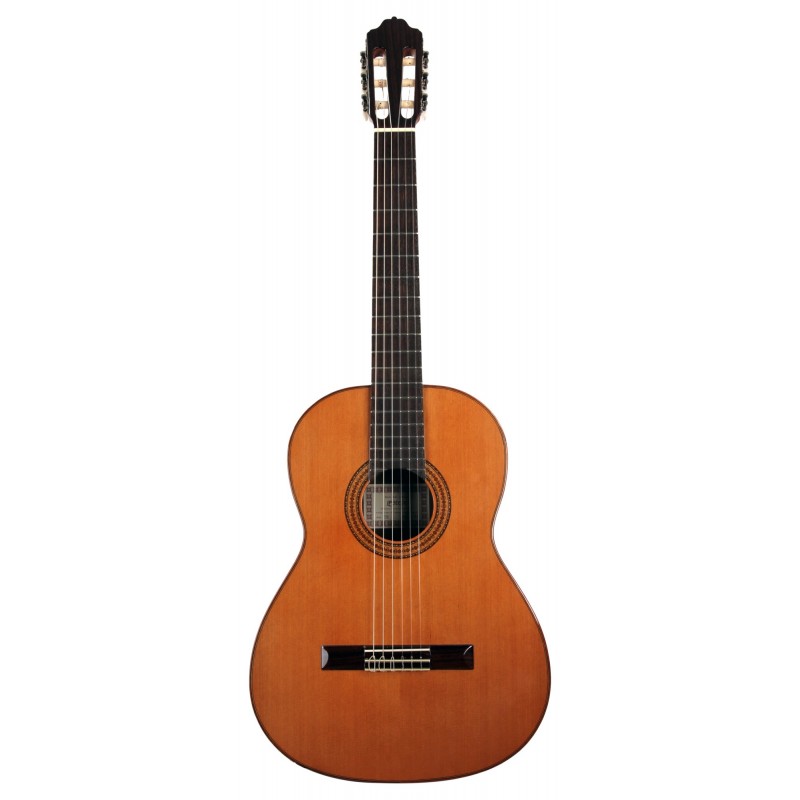 GUITARE ESTEVE 3Z ZIRICOTE