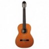 GUITARE ESTEVE 3Z ZIRICOTE