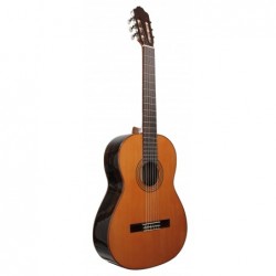 GUITARE ESTEVE 3Z ZIRICOTE